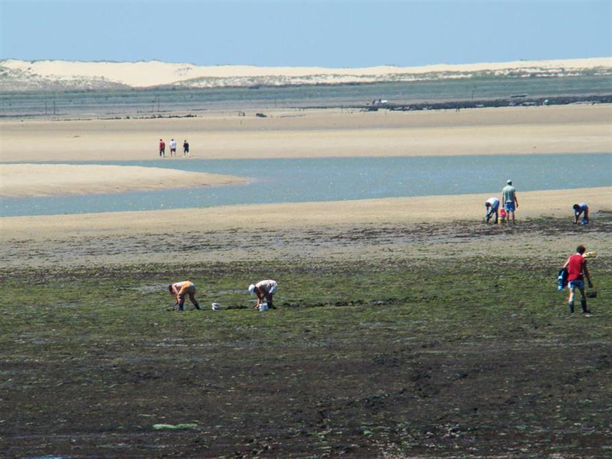 Camping Beausoleil La Palmyre