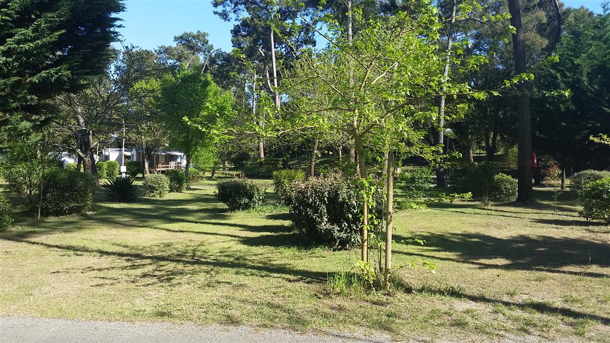 Camping Beausoleil La Palmyre