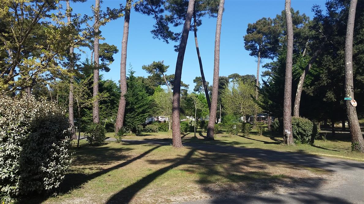 Camping Beausoleil La Palmyre