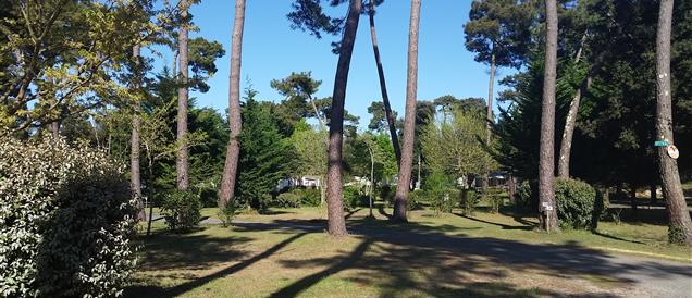 Camping Beausoleil La Palmyre
