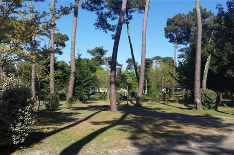 Camping Beausoleil La Palmyre