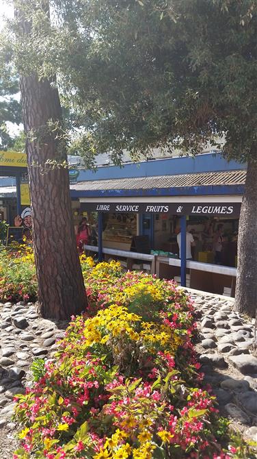 Camping Beausoleil La Palmyre