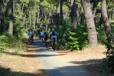 Camping Beausoleil La Palmyre