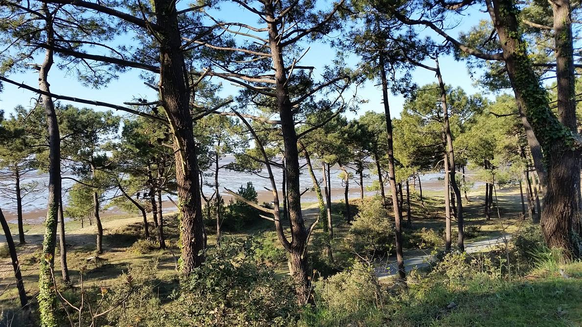 Camping Beausoleil La Palmyre